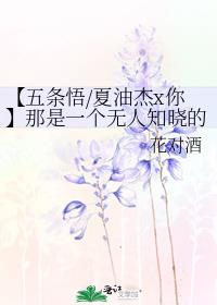 【五条悟/夏油杰x你】那是一个无人知晓的夏天