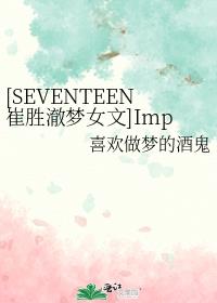 [SEVENTEEN崔胜澈梦女文]Imperfect Love