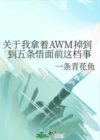 关于我拿着AWM掉到到五条悟面前这档事