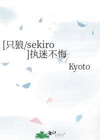 [只狼/sekiro]执迷不悔