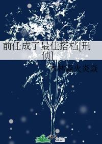 前任成了最佳搭档[刑侦]