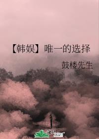 【韩娱】唯一的选择