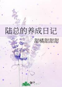 陆总的养成日记