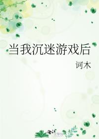 当我沉迷游戏后