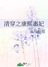 清穿之康熙惠妃