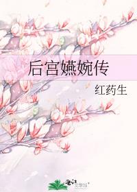 后宫嬿婉传