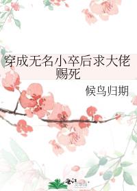 穿成无名小卒后求大佬赐死