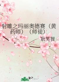 射雕之玛丽奥德赛（黄药师）（师徒）