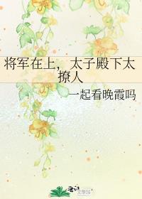 将军在上，太子殿下太撩人