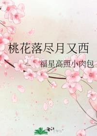 桃花落尽月又西