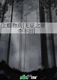 上瘾物质[无证之罪 李丰田]