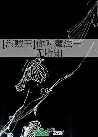 [海贼王]你对魔法一无所知