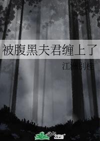 被腹黑夫君缠上了