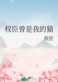 [文野乙女]在横滨当占卜师是不是做错了什么