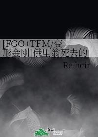 [FGO+TFM/变形金刚]俄里翁死去的仲夏夜