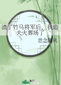 渣了竹马将军后，我追夫火葬场了