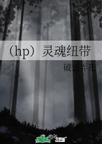 （hp）灵魂纽带