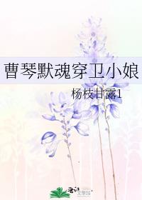 曹琴默魂穿卫小娘