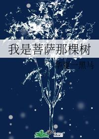 我是菩萨那棵树