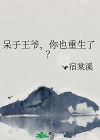 呆子王爷，你也重生了？