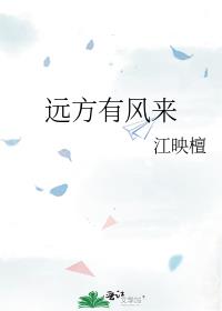 远方有风来