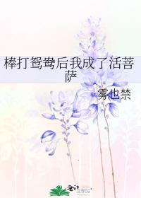 棒打鸳鸯后我成了活菩萨