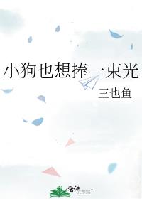 小狗也想捧一束光