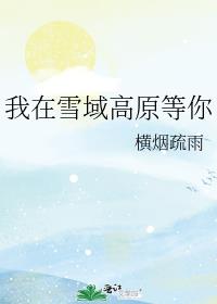 我在雪域高原等你