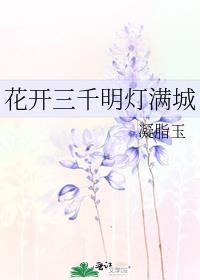 花开三千明灯满城