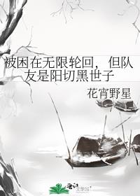 被困在无限轮回，但队友是阳切黑世子