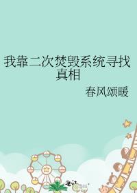 我靠二次焚毁系统寻找真相