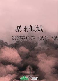 暴雨倾城