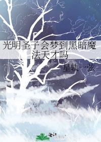 光明圣子会梦到黑暗魔法天才吗