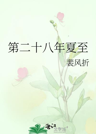 第二十八年夏至