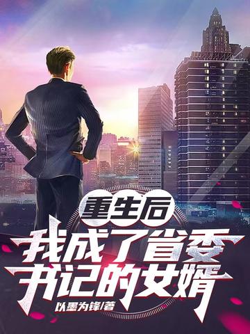 重生后,我成了省委书记的女婿