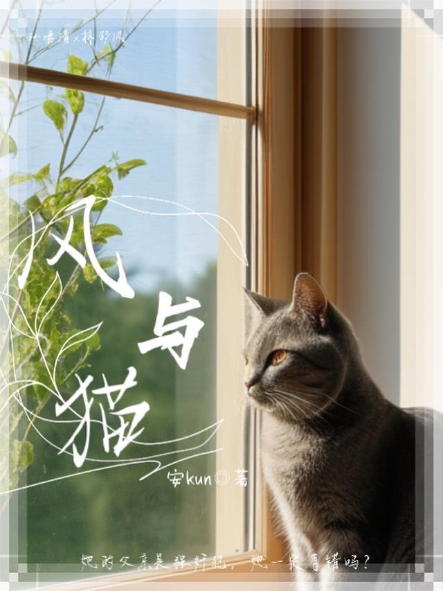 风与猫