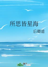 所思皆星海