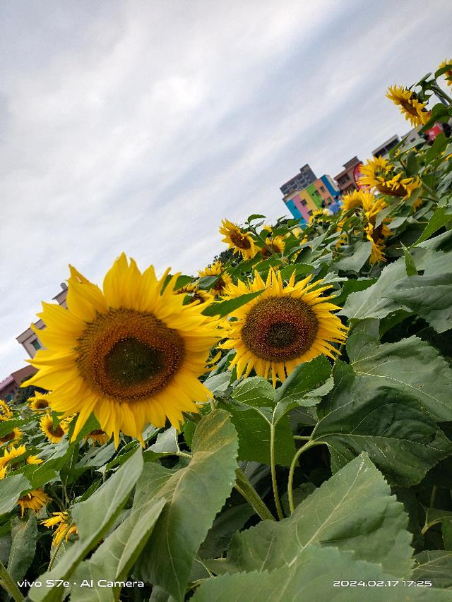 谢总他每天都要宠我