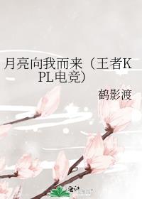 月亮向我而来（王者KPL电竞）